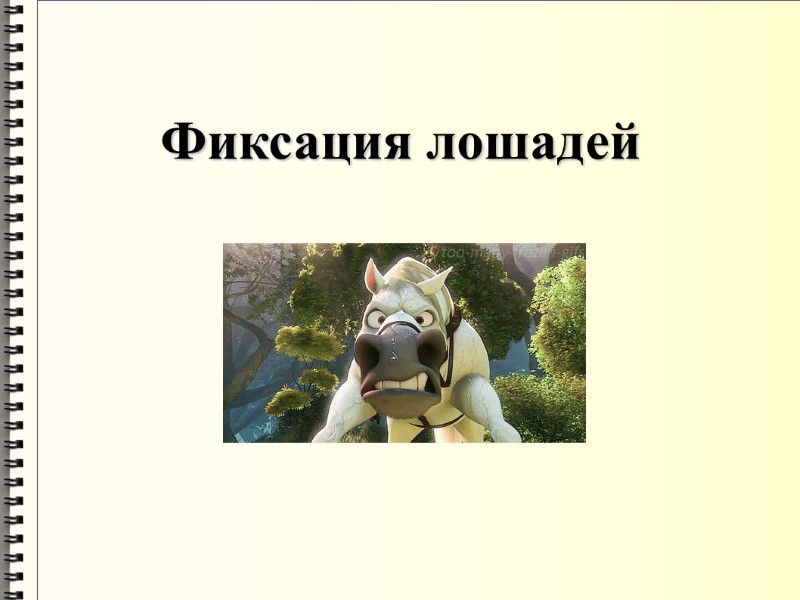 Фиксация лошадей